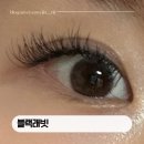 부천 상동역 속눈썹 맛집 블랙래빗 LED속눈썹연장 후기