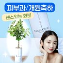 파스텔휴먼피부과의원 이미지