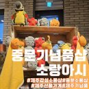 제주 중문 기념품샵 소랑아시 소품샵&amp;선물가게:감성가득 다양한 디자인