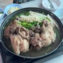 계곡산장 | [원주] 계곡까지 걸어서 1분! 원주 금대리 '계곡산장' 후기 (능이백숙/도토리묵/감자전 먹고 물놀이)