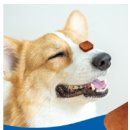 햇살가득약국 이미지