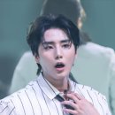 낭만고양이 - 화성시 동탄반송길 13 | 낭만고양이