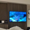 2025&#39;3月 나홀로 후쿠이 여행기 - 2 - (후쿠이노타카라를 찾아서)