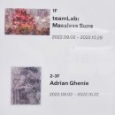 한남동 페이스 갤러리 :: teamLab Massless Suns / 아드리안 게니 (Adrian Ghenie) 전시