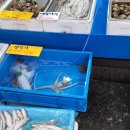 세진수산 이미지