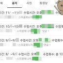[영어] 전화영어 스피쿨 (speakool) 4개월 후기