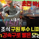 푹 쉬면 다행이야 엠뚜루마뚜루 무인도 호텔 시그니처 '솥 뚜껑 커피'야구로 다진 전완근으로 절구통 뚫어버리는 니퍼트 영상 이미지