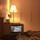오투마켓