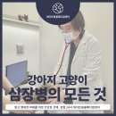 화이트동물메디컬센터 이미지