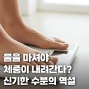 숫자 톡톡 셈의 달인 | 자고 일어났더니 2kg 증폭? 지방이 아니라 '부종'입니다 (급찐급빠 필독) | 도안동PT 도안동헬스장...