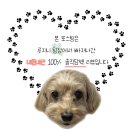 [구의역 맛집] 강금옥쭈꾸미 구의동 한식 술집으로 추천!