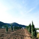 창대농장 이미지