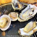 대하민박 이미지