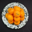 양지청과 이미지