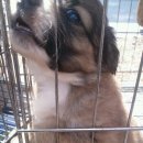 메오메오 이미지