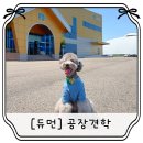 G스마일투어 | [듀먼] 휴먼그레이드 프리미엄 자연화식 듀먼 공장 견학 투어 후기