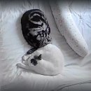 런드리랩 | 3월-2 (쿠아레비,아기숫자세기,패밀리침대,이케아,씨엔타벨크로,버터떡,런드리고,칙필레소스)