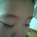 이태림 카카오 검색결과