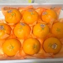 승환농장 이미지