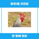 화곡1동 | 화곡1동 치킨집 추천 꿀팁, 함께 이해하기