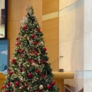 24년 12월 일상 : Merry Christmas, my friends!