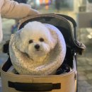 다온동물병원 이미지