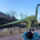 대구 아이와 가볼만한곳 앞산 고산골 공룡공원 유아숲체험원