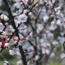 새터농장 이미지