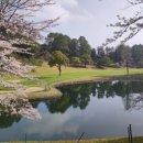 선 골프 이미지