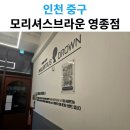 모리셔스브라운영종점
