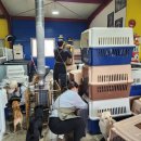 장고갯로10 | 유기견봉사 후기, 참여하신 모든 분께 감사합니다