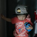 멍멍타요 이미지