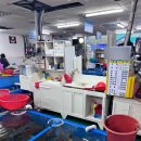 성진파크 이미지