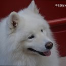 구립한남노인요양원