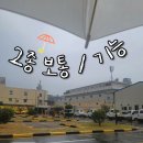 P-7401 | 【2종보통/기능】 저 첫 운전하는데 왜 폭우가 내려요...? / 덕포자동차운전학원, 부산북부시험장