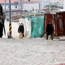 조선대 버스정류장 이미지