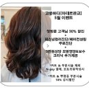 아데르 판교점