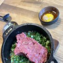 정희애견 이미지