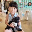 으르렁애견카페 이미지