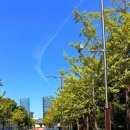 노작호수공원 이미지