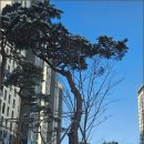 고산공인중개사사무소 이미지