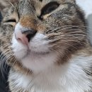 못난이 PC방 이미지