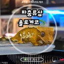 욜로게코 | [인천 파충류샵] 인천 크레스티드게코 성지!🦎 연수구 욜로게코 방문 후기~!