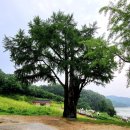 안동향교(安東鄕校) 이미지