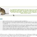 세기위생방역 이미지