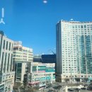 리부트핏 이미지