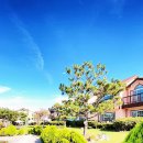 제주시간여행 휴양펜션 이미지