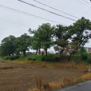 상주 조공제 이미지