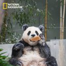 오늘도꽈배기 이미지