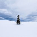 (주)제이스타 | 대구 ~ 삿포로 3박 4일 겨울 여행 후기(ft. 사진 많음 주의)